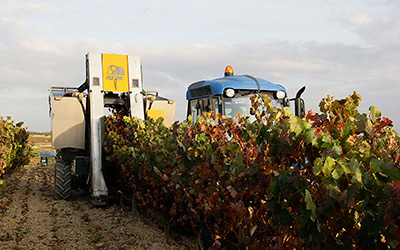 Su opinión es crucial para el desarrollo del sector