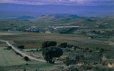 Contribuya con su perspectiva empresarial para mejorar el plan